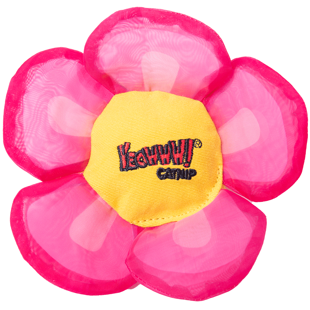 Yeowww! Daisy's Flower Tops Pink – Biologisch Angebaute Katzenminze Mit Knistern