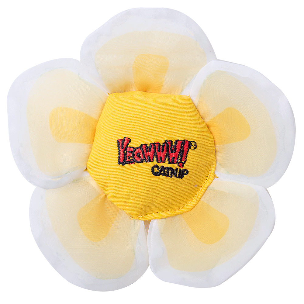 Yeowww! Daisy's Flower Tops – Biologisch Anbau Katzenminze mit Knisternden Blütenblättern