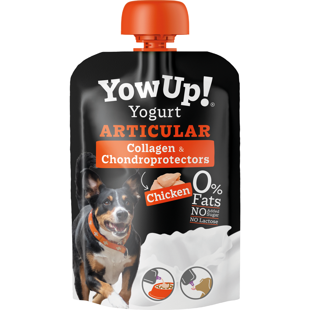 YowUp! Joghurt Hunde Huhn Gelenke – Laktosefrei und Fettfrei
