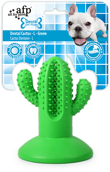 AFP Dental Chews – Zahnreinigung Und Spielspaß In Einem