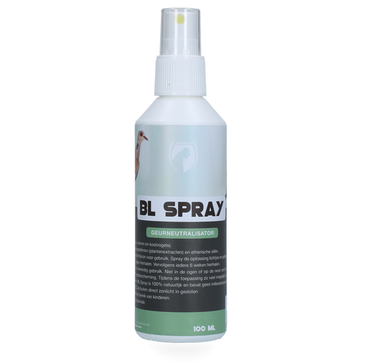 Excellent BL Spray Gebrauchsfertig – Effektive Reinigungskraft