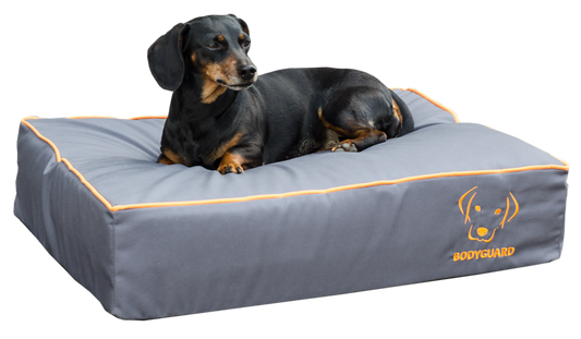 Bodyguard Royal Bed Grau S – Optimaler Liegecomfort Mit Insektenabwehr