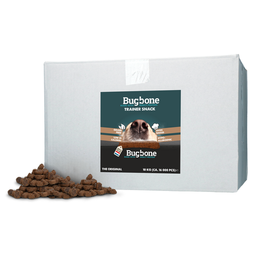Bugbone Bulkverpackung Trainer Snack 10 kg – Reich An Hochwertigem Insektenprotein