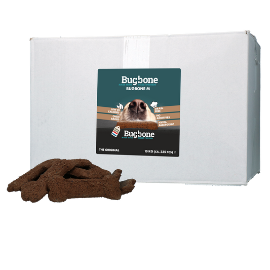 Bugbone Bulkverpackung Medium 10 kg – Hochwertiger Insektenprotein Snack für Hunde