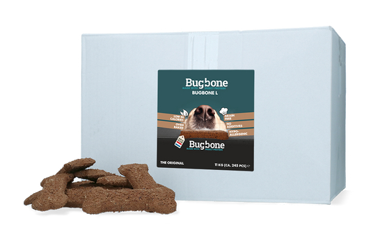 Bugbone Bulkverpackung Large 11 kg – Hochwertiger Insektenprotein Snack für Gesunde Hunde