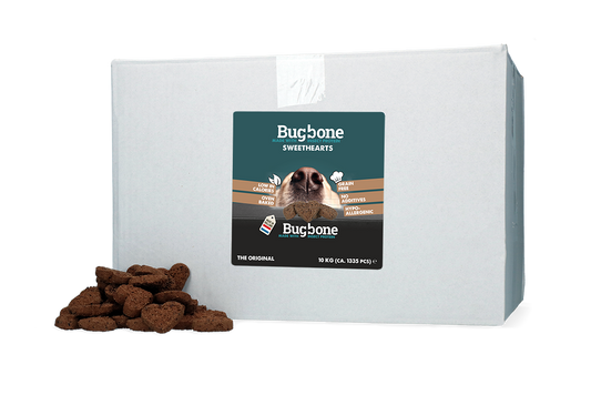 Bugbone Bulkverpackung Sweethearts 10 kg – Nachhaltiger Insektenprotein Snack für Hunde