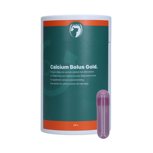 Excellent Sheep Calcium Bolus Gold 24 Stück – Effektive Kalziumergänzung für Schafe und Ziegen