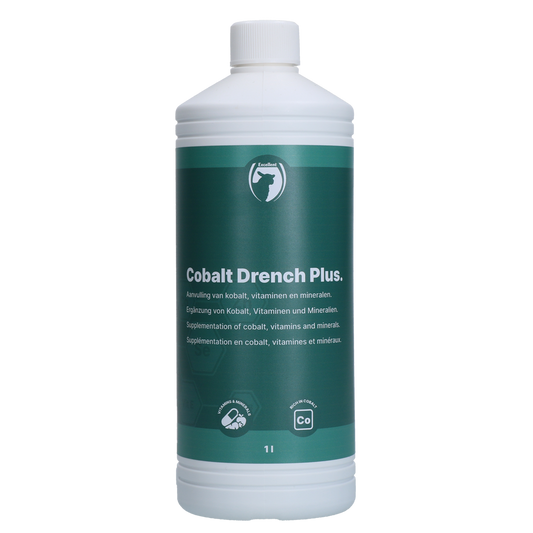 Excellent Cobalt Drench Plus 1 l – Hochwertige Kobaltversorgung für Schafe und Rinder