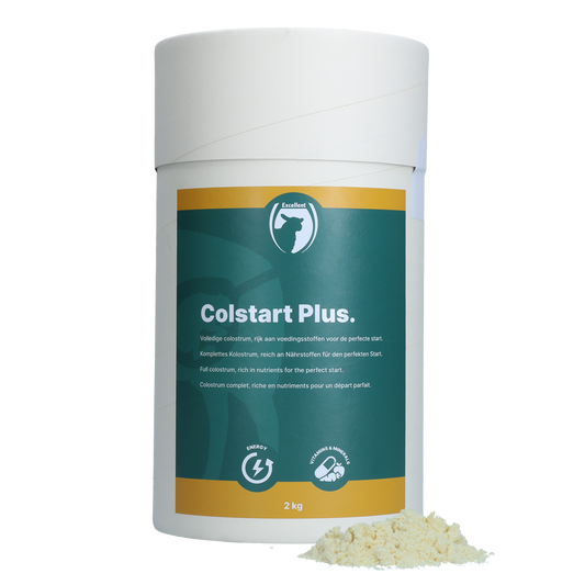 Excellent Colstart Plus 2 kg – Hochwertiges Kolostrum für Neugeborene Lämmer