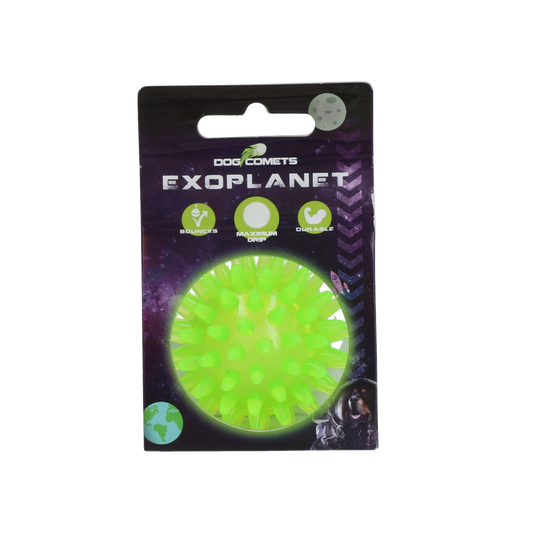 Dog Comets Exoplanet Igelball S Grün – Robuster Spielspaß Mit Zahnreinigung