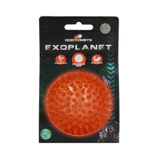 Dog Comets Exoplanet Igelball M Orange – Robuster Spielspaß mit Zahnreinigung