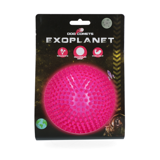 Dog Comets Exoplanet Igelball L Rosa – Robuster Spielspaß Mit Zahnreinigung