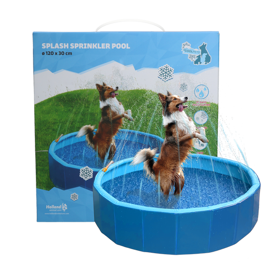Coolpets Splash Sprinkler Pool – Optimale Erfrischung Für Hunde