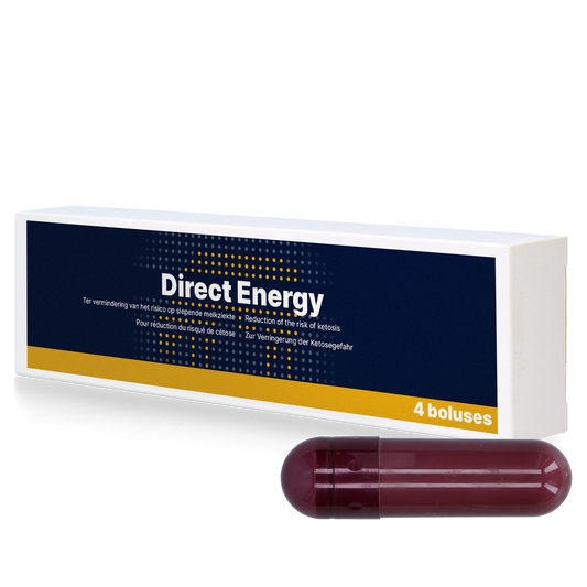 Direct Energy Bolus 4 x 67 g – Schnelle Unterstützung Bei Negativem Energiehaushalt