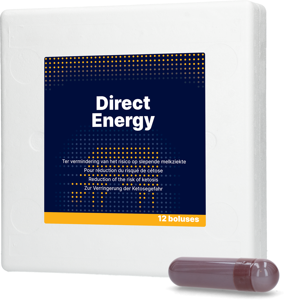 Direct Energy Bolus 12 x 67 g – Schnelle Unterstützung Bei Negativem Energiehaushalt