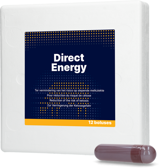 Direct Energy Bolus 12 x 67 g – Schnelle Unterstützung Bei Negativem Energiehaushalt