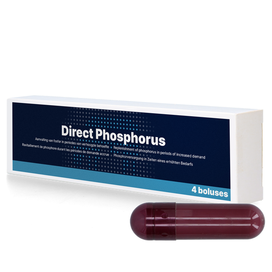 Direct Phosphor 4 x 123 g – Effektive Unterstützung Für Kühe Nach Dem Abkalben