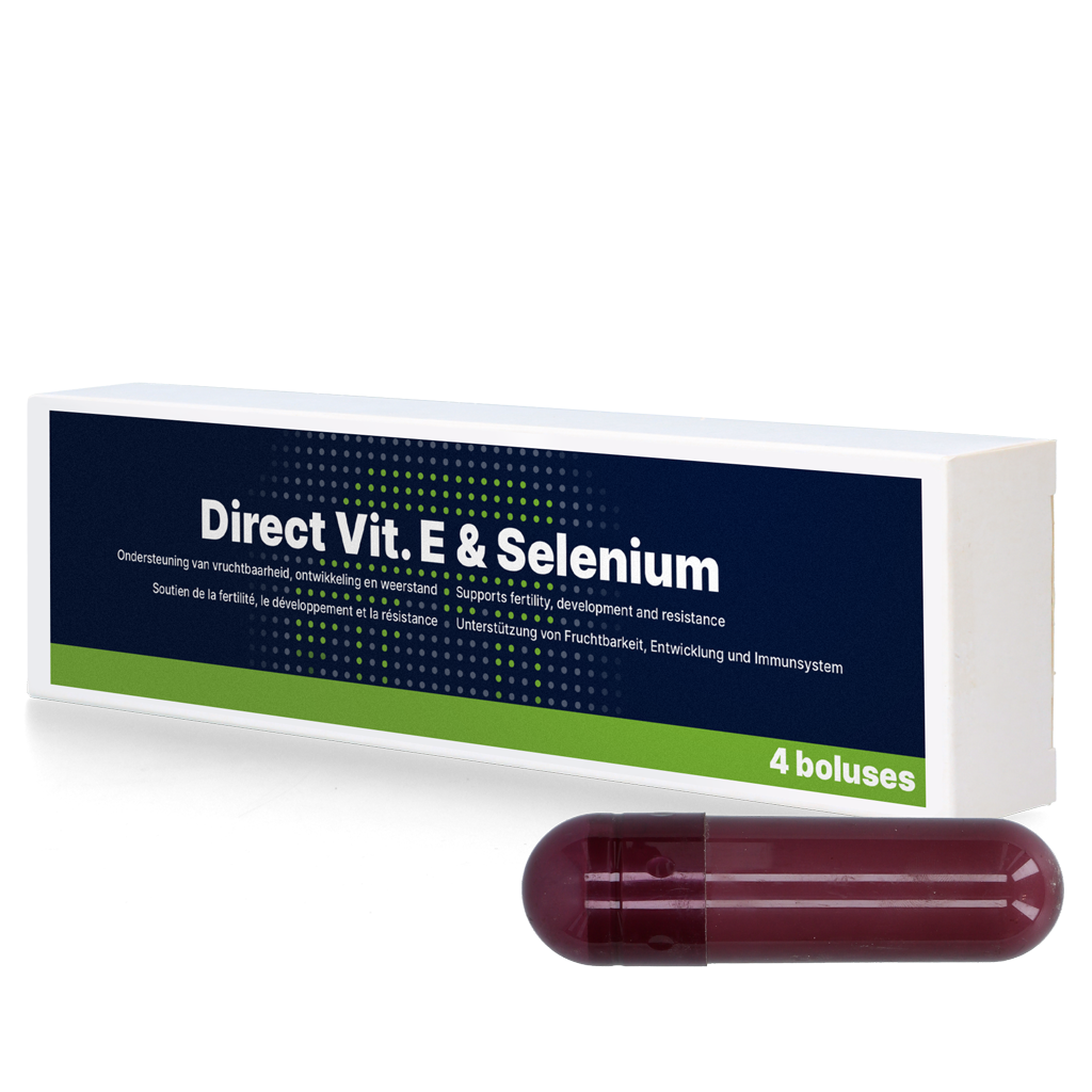 Direct Vit E & Selenium 4 x 105 g – Unterstützt Fruchtbarkeit Und Immunsystem