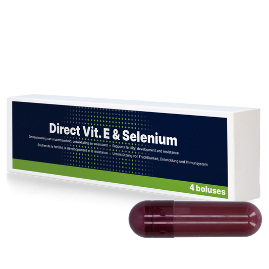 Direct Vit E & Selenium 4 x 105 g – Unterstützt Fruchtbarkeit Und Immunsystem