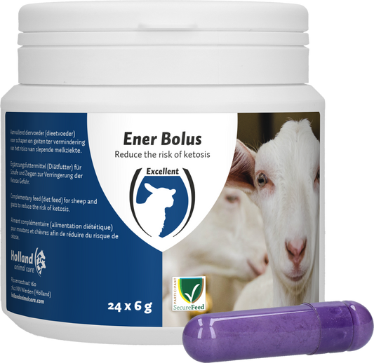 Excellent Ener Bolus Schaf & Ziege – Risiko Minimierung Für Ketose
