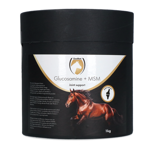 Excellent Horse Glucosamin Plus MSM 1 kg – Unterstützt Gelenke Und Knorpel