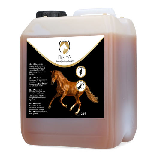 Excellent Horse Flex HA 2,5 l – Unterstützt Gelenke und Knochen