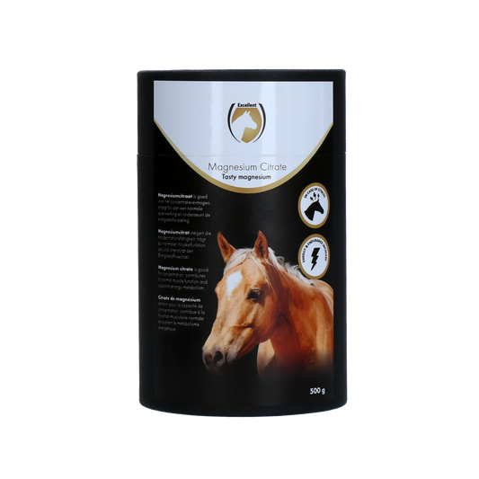 Excellent Horse Magnesiumcitrat 500 g – Steigert Konzentration und Unterstützt Muskelfunktion