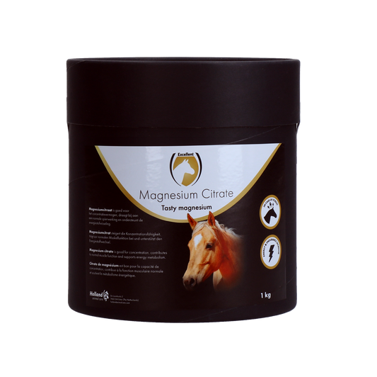 Excellent Horse Magnesiumcitrat 1 kg – Unterstützt Konzentration Und Muskelfunktion