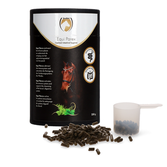 Excellent Pferde Equi Parex 250 g – 100 Prozent Natürliche Unterstützung Für Magen- Und Darmflora