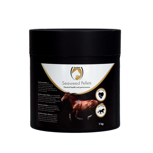 Equi Meeresalgen-Pellets 1 kg – Natürliche Mineralien und Vitamine für Pferde
