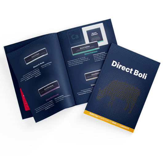 Broschüre Direct Boli DE – Informative Gestaltung für Ihre Präsentationen