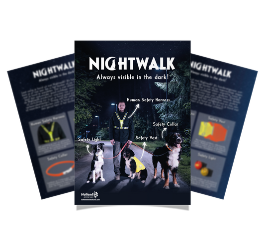 Flyer Nightwalk DE – Ideal Für Nachtsichtfahrten