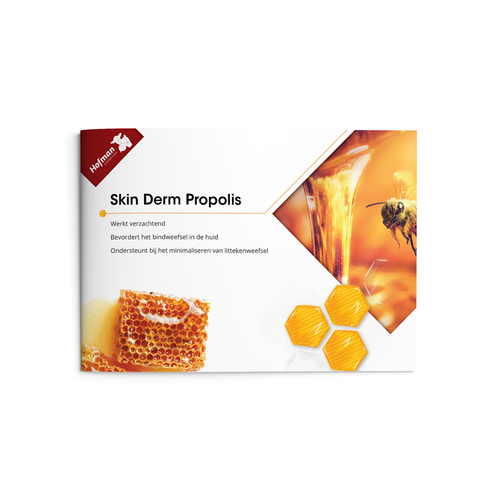 Folder Skin Derm NL – Hochwertiger Hautschutz