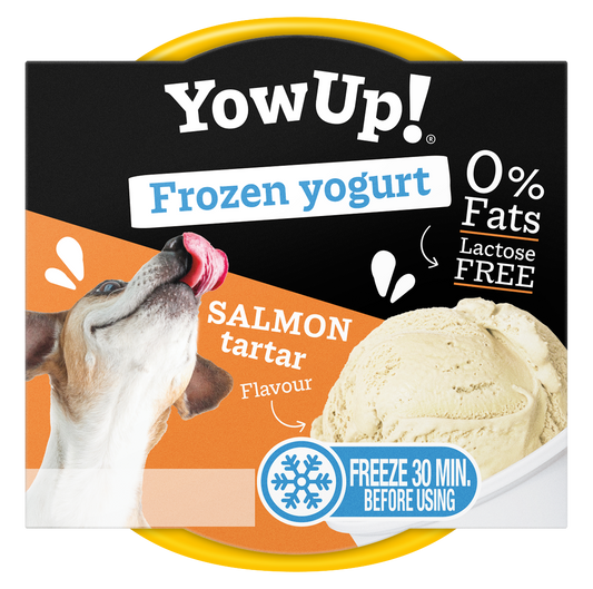YowUp! Frozen Yoghurt Lachs Tartar – Laktosefreier Genuss Für Hunde Und Katzen