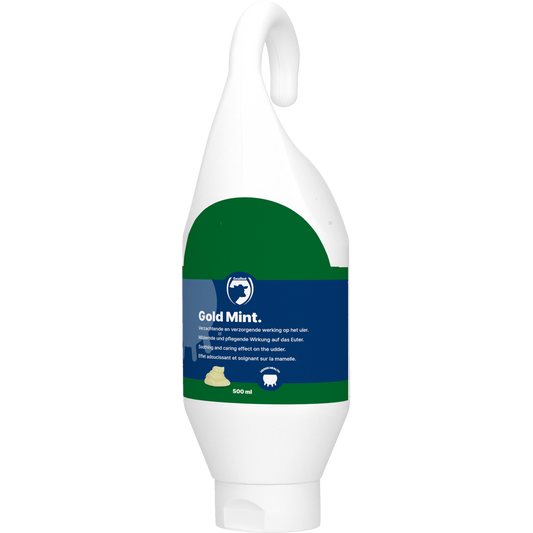 Gold Mint Steh- und Hängeflasche 500 ml – Innovatives Pflegeprodukt für Eutergesundheit