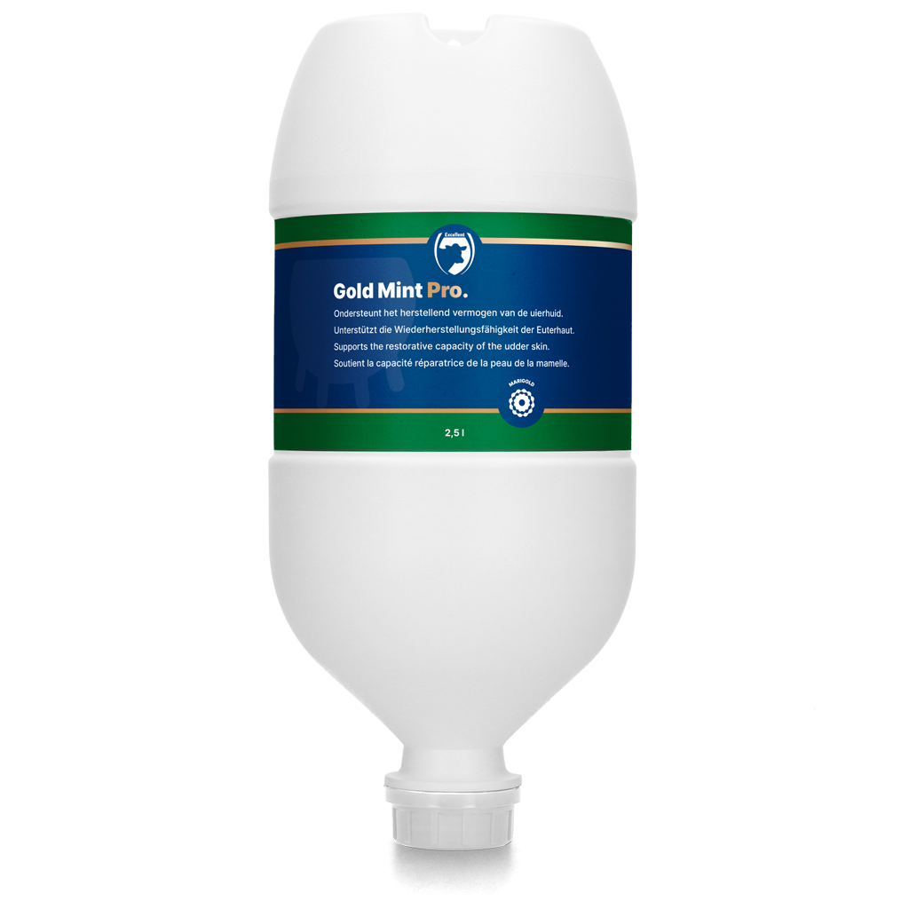 Excellent Gold Mint Pro Hängetube 2,5 l – Optimale Eutergesundheit für Milchkühe