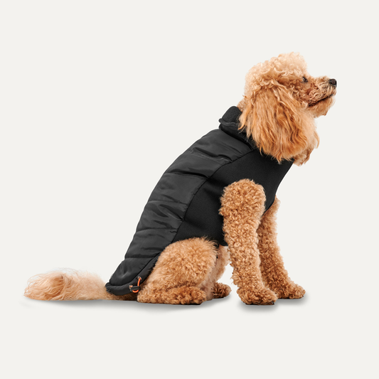 Goo-eez Mock Neck Signature Wrap Jacket S Schwarz – Wasserabweisend und Warmhaltend
