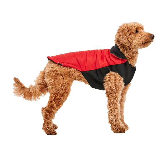 Goo-eez Mock Neck Signature Wrap Jacket XS Rot/Schwarz – Wasserabweisend Und Warmhaltend