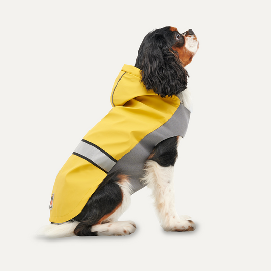 Goo-eez Reflective Hooded Raincoat S Gelb/Grau – Schutz Vor Wind und Wetter