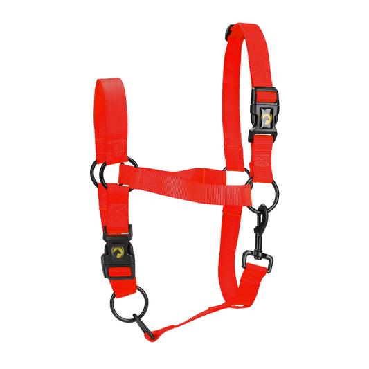 Excellent Essential Halfter Rot S – Höchster Komfort für Pferde