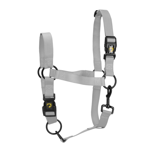 Excellent Essential Halfter Grau S – Hoher Komfort Für Ihr Pferd