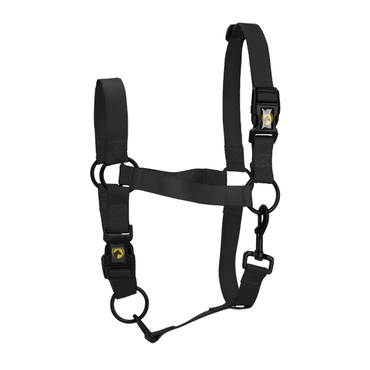 Excellent Essential Halfter Schwarz M – Hoher Komfort und Strapazierfähigkeit