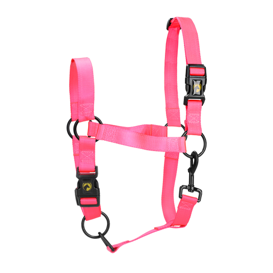 Excellent Essential Halfter Rosa M – Hoher Komfort für Ihr Pferd