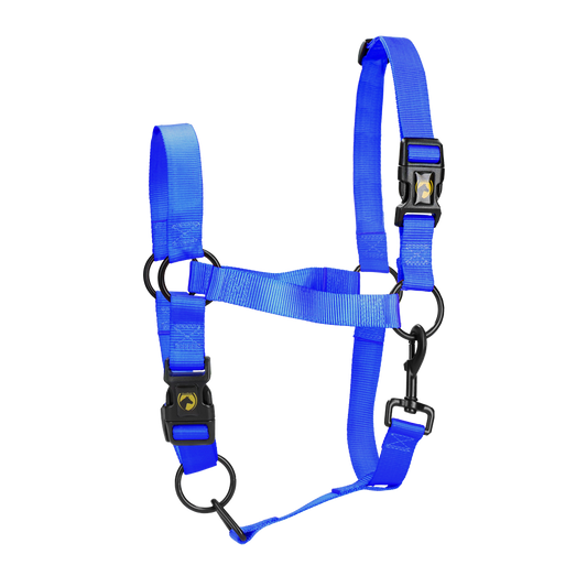 Excellent Essential Halfter Blau L – Komfortabel Und Robustes Nylon