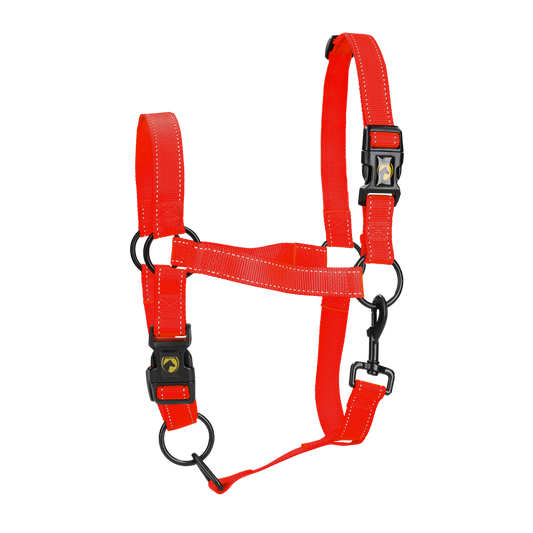 Excellent Premium Halfter Rot XL – Sicherheits- und Komfortlösung mit Reflektoren