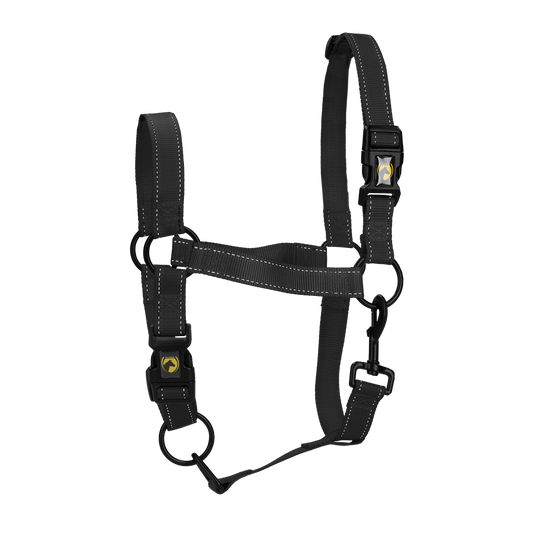 Excellent Premium Halfter Schwarz XL – Sicherheit Und Komfort Mit Reflektierenden Elementen