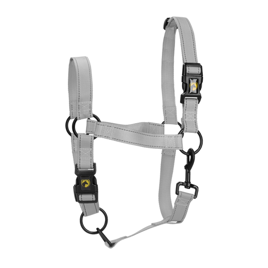 Excellent Premium Halfter Grau XL – Sicherheit Und Komfort Mit Reflektierenden Elementen