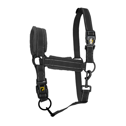 Excellent Superior Halfter Schwarz XS – Weich Und Haltbar Aus Hochwertigem Nylon