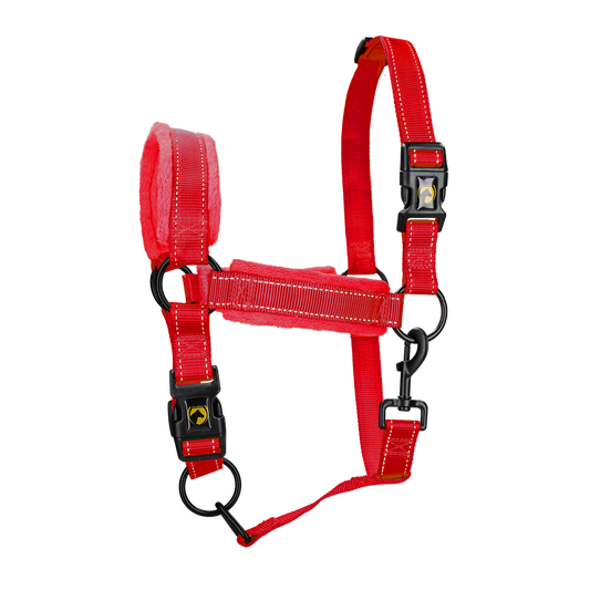 Excellent Superior Halfter Rot S – Weich Und Flexibel Aus Hochwertigem Nylon