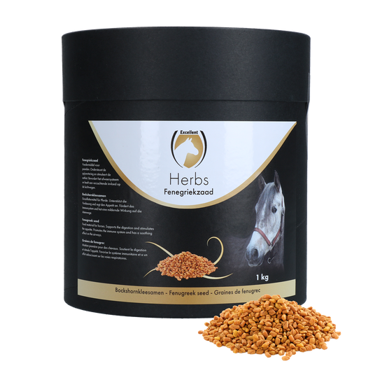 Excellent Horse Herbs Bockshornkleesamen 1 kg – Unterstützung Für Verdauung Und Immunsystem